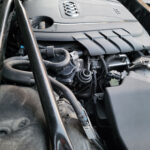 292_33f005b0-96f5-4143-bfdf-b18f5edcd911